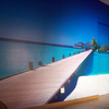 Mural o vinilo decoracion