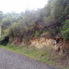 Necesito limitar parcela en tobarra para empezar a vallar, son 1215m.