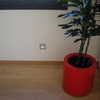 Presupuesto parquet de madera