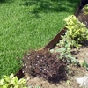 Jardineros de mantención cortar el césped