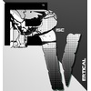 Risc Vertical