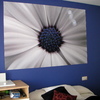 Pintura habitación infantl