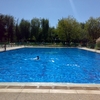 Piscina de superficie, de entre 8 y 10 metros de largo y unos 1'60 de profundidad