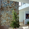 Ventana de salon 2. 20m de altura aprox y 2. 60m
