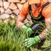 Limpiar malar hiervas y plantar unas tomateras