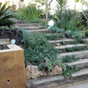 Servicios de jardinería