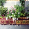 Impermeabilizar 30 mts de jardin