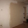 Moho de pared yeso