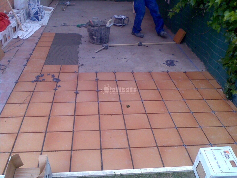 Oferta cualquier alicatado y solado por 20 € el m2