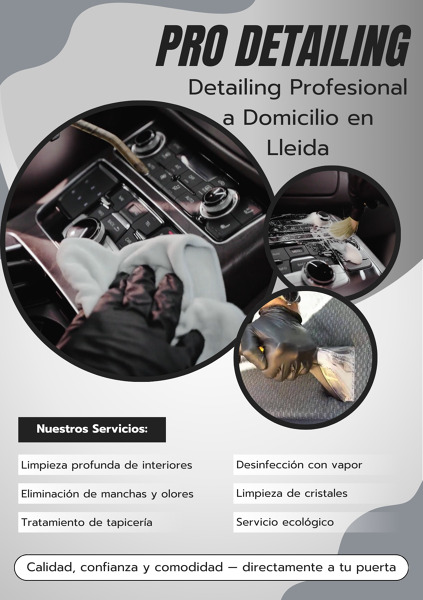20% de descuento en tu próxima limpieza interior detallada