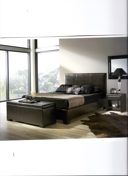 Oferta Cama Tapizada Piel Sintética 450 €