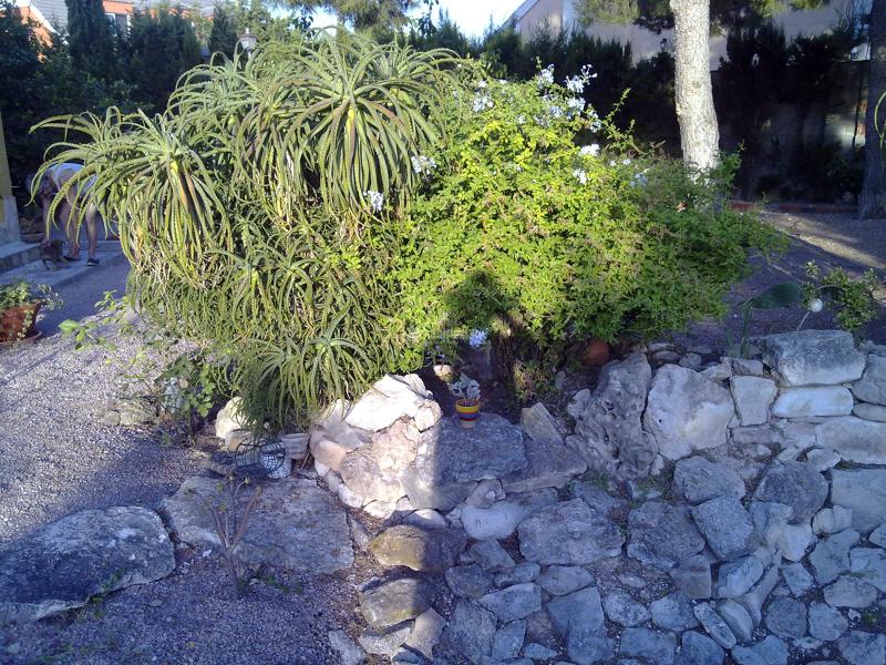 Limpieza y mantenimiento de jardines por sólo 25 € 