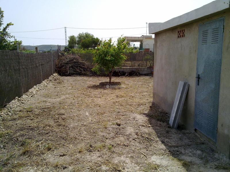 Limpieza y mantenimiento de jardines por sólo 25 € 