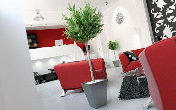 Oferta asesoramiento en decoración desde 60 € por espacio