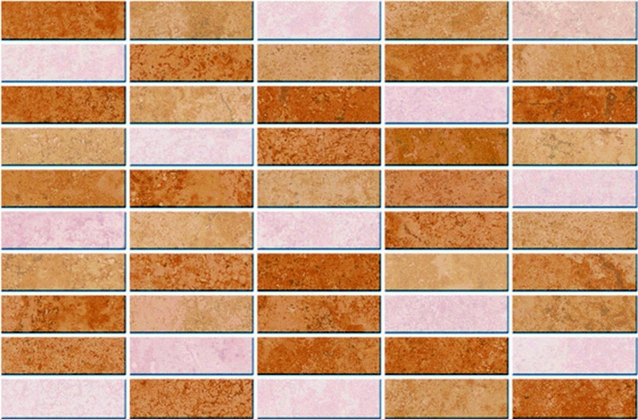 Baldosa decorativa a elegir la que mejor convine  