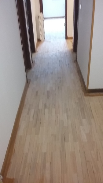 Colocación y pulido