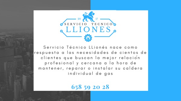 Descripción