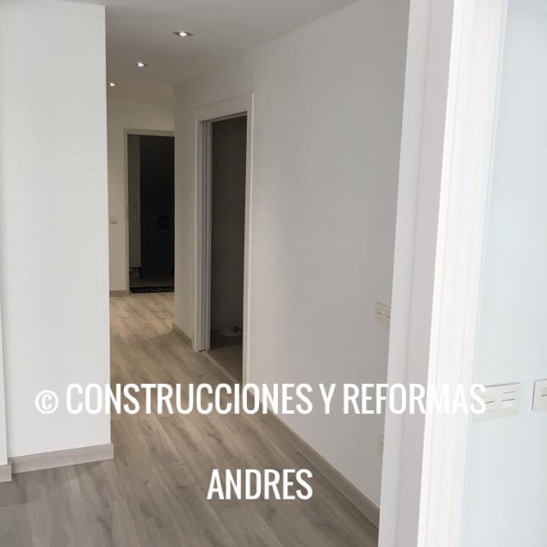 Entrada principal - pasillo-salon
