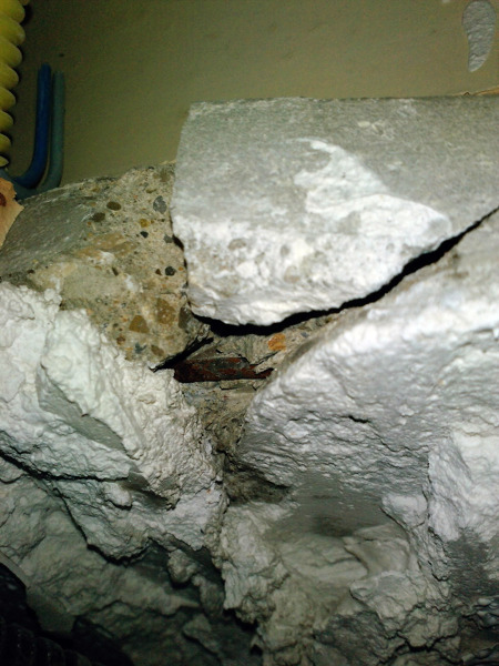 inspección de estructuras de hormigón armado