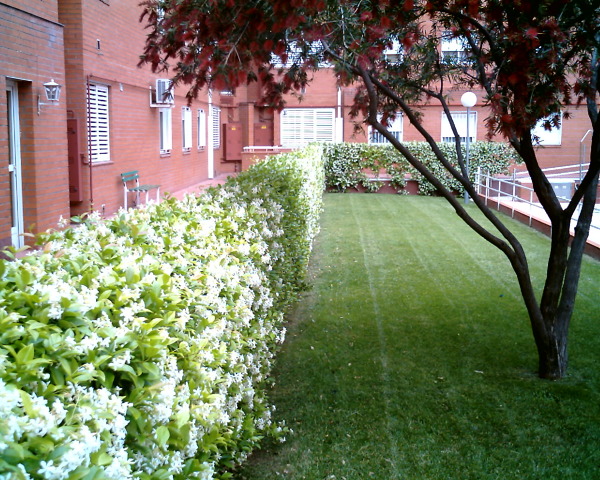 MANTENIMIENTO DE JARDINES.