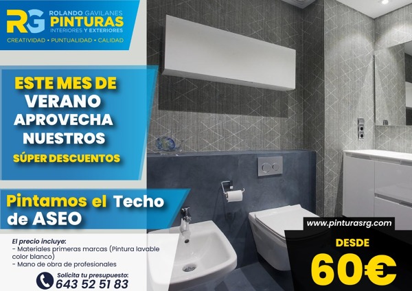 Pinta el tech de tu aseo
