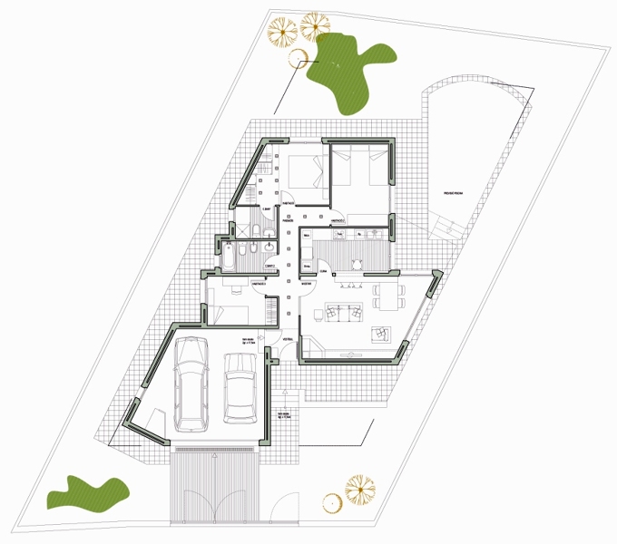 planta