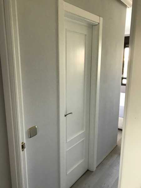 Puerta de baño lacada y con jambas nuevas.
