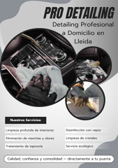 20% de descuento en tu próxima limpieza interior detallada