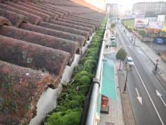 CANALONES