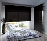 Cortinas enrollables Polyscreen 55 ebony