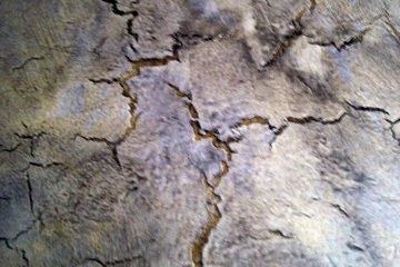 Efecto Rustico