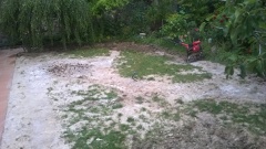 jardines
