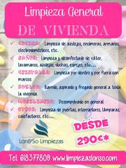 Limpieza Puntual de Viviendas