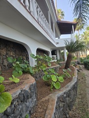 Mantenimiento de jardin
