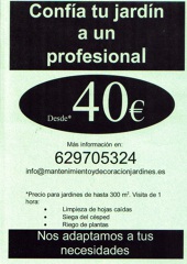 Mantenimiento desde 40 Euros 