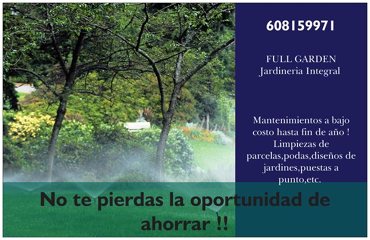 Oferta especial en mantenimientos