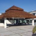 Palapa tropical Hotel Gato Montes