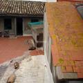 Reforma integral de vivienda en Polinya de Xuquer