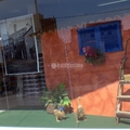 Escaparates en tiendas de Pinturas 