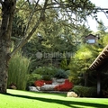 Césped artificial Royal Grass