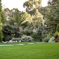Césped artificial Royal Grass
