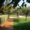 Tarimas De Maternidad De Barcelona