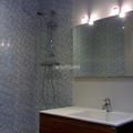 Baño Fernandez  Lirola 