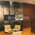 Reforma concesionario Honda