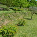 Arboles frutales