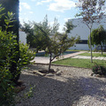 "Tras la Tapia" Vivienda unifamiliar 