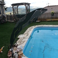 delfin