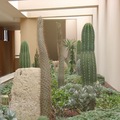 diseño