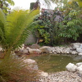 estanques