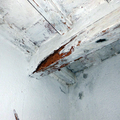 Estructura horizontal